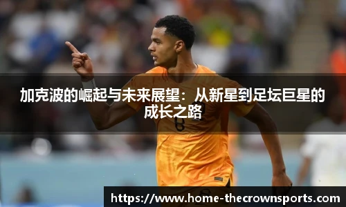 皇冠体育crown平台