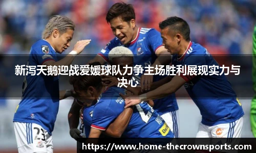 新泻天鹅迎战爱媛球队力争主场胜利展现实力与决心